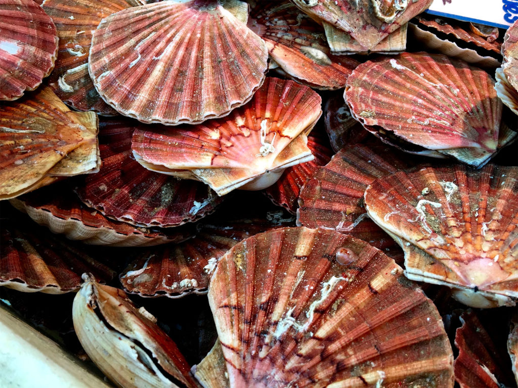 How They Cook and Eat Scallops in France Today